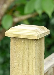 Timber Fence Post Cap | Green | Square Posts