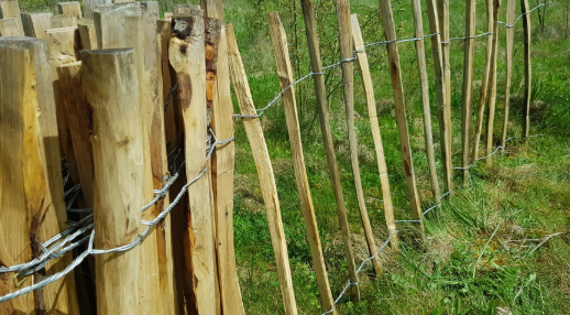 Chestnut Paling Fencing 3ft x 9 m Wide x 5cm deep - 2 Wire